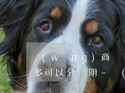 網(wǎng)商貸協(xié)商分期最多可以分幾期-網(wǎng)商貸協(xié)商分期最多可以分幾期還