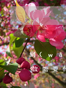 網(wǎng)商貸協(xié)商延期還款需要什么資料-網(wǎng)商貸協(xié)商延期還款需要什么資料和手續(xù)