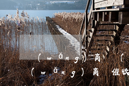 網(wǎng)商貸協(xié)商減免（網(wǎng)商貸催收說(shuō)能減免）