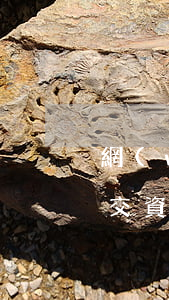 網(wǎng)商貸協(xié)商還款提交資料要等多久-網(wǎng)商貸協(xié)商還款提交資料要等多久才能通過
