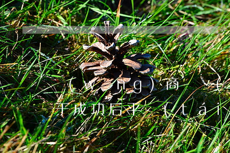 網(wǎng)商貸協(xié)商還款終于成功后平臺(tái)會(huì)怎么顯示-網(wǎng)商貸協(xié)商還款終于成功后平臺(tái)會(huì)怎么顯示呢
