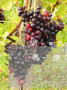 網(wǎng)商貸只能每個月都需要還款嗎-網(wǎng)商貸只能每個月都需要還款嗎安全嗎