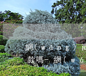 網(wǎng)商貸只能每月還款日才能還款嗎-網(wǎng)商貸只能每月還款日才能還款嗎安全嗎