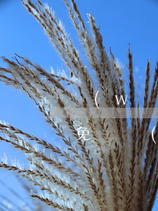網(wǎng)商貸可以協(xié)商減免嗎 網(wǎng)商貸可以協(xié)商減免嗎