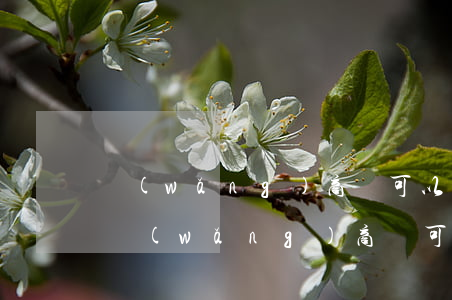 網(wǎng)商貸可以只還本金嗎(支付寶網(wǎng)商貸可以只還本金嗎)