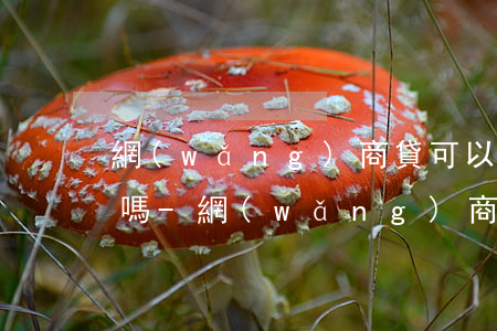 網(wǎng)商貸可以提前還款本月貸款嗎-網(wǎng)商貸可以提前還款本月貸款嗎
