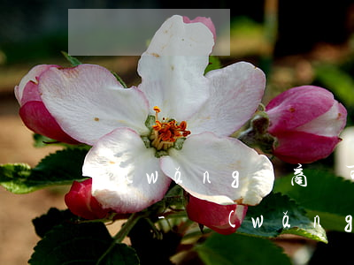 網(wǎng)商貸可以提前還款然后接著貸嗎-網(wǎng)商貸可以提前還款然后接著貸嗎安全嗎