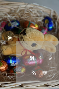 網(wǎng)商貸和借17萬唄逾期了怎么辦-網(wǎng)商貸和借17萬唄逾期了怎么辦呢