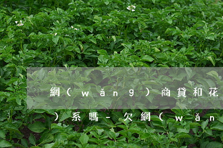 網(wǎng)商貸和花唄有關(guān)系嗎-欠網(wǎng)商貸了5萬三年沒還