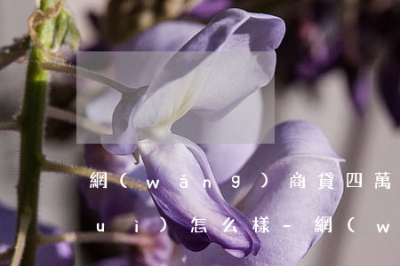 網(wǎng)商貸四萬多還不起了會(huì)怎么樣-網(wǎng)商貸四萬多還不起了會(huì)怎么樣嗎