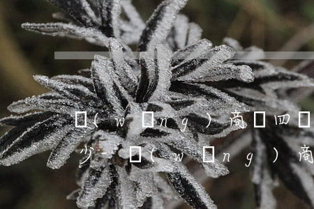 網(wǎng)商貸四萬每月最低還款要多少-網(wǎng)商貸四萬每月最低還款要多少錢