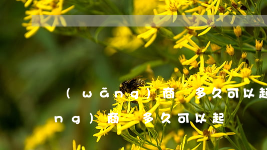 網(wǎng)商貸多久可以起訴(網(wǎng)商貸多久可以起訴)