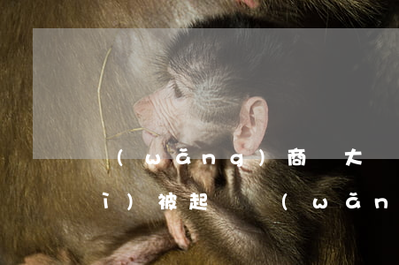 網(wǎng)商貸大額逾期多久會(huì)被起訴(網(wǎng)商貸逾期多少天會(huì)起訴,我已經(jīng)還了2000多)