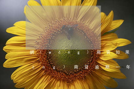 網(wǎng)商貸如果逾期會怎樣(網(wǎng)商貸逾期一年親身經(jīng)歷)