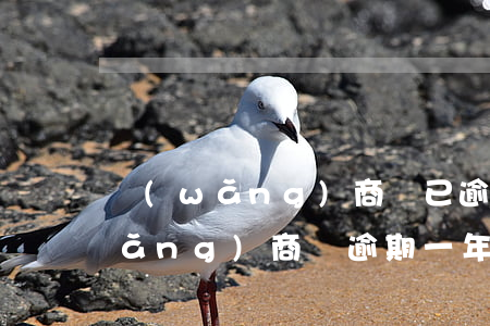 網(wǎng)商貸已逾期了怎么辦(網(wǎng)商貸逾期一年逾期費(fèi))