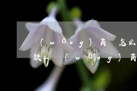網(wǎng)商貸怎么剛用15天就要還款-網(wǎng)商貸怎么剛用15天就要還款呢