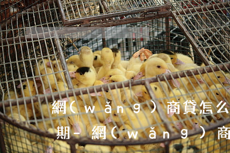 網(wǎng)商貸怎么協(xié)商分期-網(wǎng)商貸怎么協(xié)商分期還款