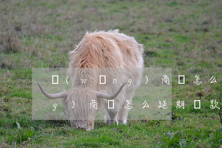 網(wǎng)商貸怎么延期-網(wǎng)商貸怎么延期還款