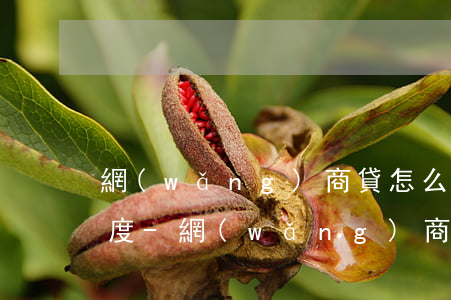 網(wǎng)商貸怎么查詢每期的還款額度-網(wǎng)商貸怎么查看額度期限