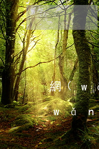 網(wǎng)商貸怎么減免逾期罰息(網(wǎng)商貸逾期加罰息比本金還高)