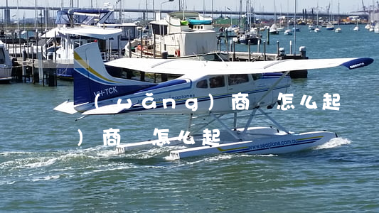 網(wǎng)商貸怎么起訴(網(wǎng)商貸怎么起訴)