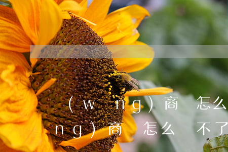 網(wǎng)商貸怎么還不了-網(wǎng)商貸怎么還不了款