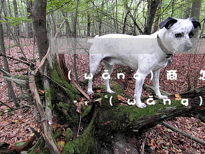 網(wǎng)商貸怎么還款后有額度不能貸-網(wǎng)商貸怎么還款后有額度不能貸了
