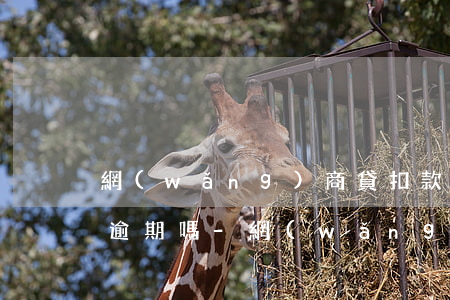 網(wǎng)商貸扣款失敗同一天還款會逾期嗎-網(wǎng)商貸扣款失敗還會第二次扣款嗎
