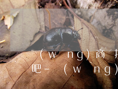 網(wǎng)商貸按時還款不會影響征信吧-網(wǎng)商貸按時還款不會影響征信吧嗎