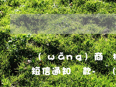 網(wǎng)商貸提前多少天發(fā)短信通知還款-網(wǎng)商貸提前多少天發(fā)短信通知還款的