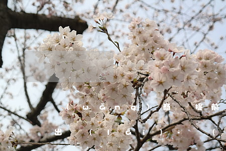 網(wǎng)商貸提前還款后多久可以貸出來(lái)-網(wǎng)商貸提前還款后多久可以貸出來(lái)啊