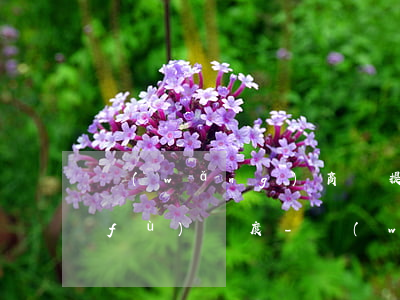 網(wǎng)商貸提前還款后多久恢復(fù)額度-網(wǎng)商貸還清后第二天額度恢復(fù)