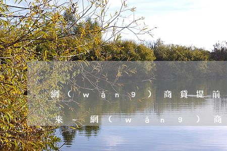 網(wǎng)商貸提前還款幾天才能提出來-網(wǎng)商貸提前還款幾天才能提出來啊