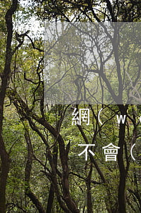 網(wǎng)商貸提前還款會(huì)不會(huì)影響信用-網(wǎng)商貸提前還款會(huì)不會(huì)影響額度