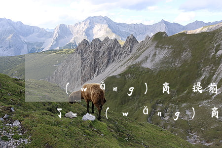 網(wǎng)商貸提前還款為什么不能用了-網(wǎng)商貸提前還款為什么不能用了呢
