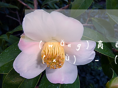 網(wǎng)商貸提前還款為什么要收手續(xù)費-網(wǎng)商貸提前還款為什么要收手續(xù)費呢