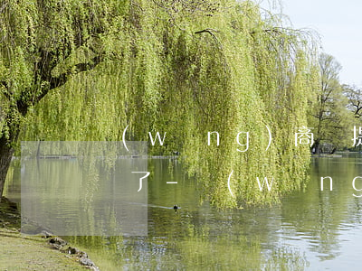 網(wǎng)商貸提前還款為什么貸不出來了-網(wǎng)商貸提前還款為什么貸不出來了呢