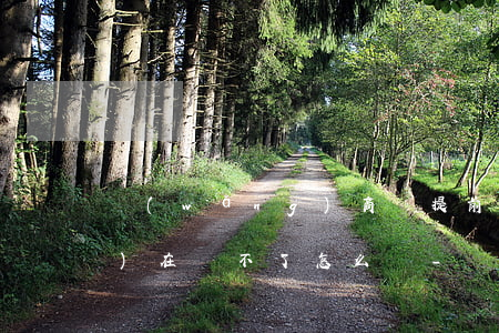 網(wǎng)商貸提前還款現(xiàn)在還不了怎么辦-網(wǎng)商貸提前還款現(xiàn)在還不了怎么辦呢