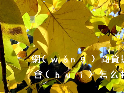 網(wǎng)商貸提現(xiàn)不還會(huì)怎么樣(網(wǎng)商貸借的錢(qián)能提現(xiàn)嗎)