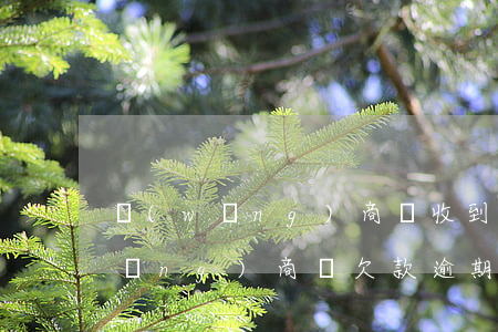 網(wǎng)商貸收到逾期告知函(網(wǎng)商貸欠款逾期收到律師函)