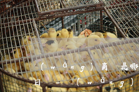 網(wǎng)商貸是哪天借那天就是還款日嗎-網(wǎng)商貸什么時候借款還款算下下個月