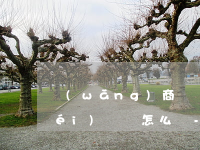 網(wǎng)商貸暫時(shí)沒(méi)錢還怎么辦-網(wǎng)商貸暫時(shí)沒(méi)錢還怎么辦啊
