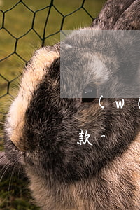 網(wǎng)商貸暫時不提供貸款只能還款-