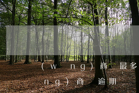 網(wǎng)商貸最多能逾期幾天(網(wǎng)商貸逾期兩個小時會怎么樣)