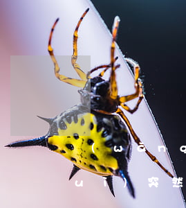 網(wǎng)商貸會(huì)不會(huì)突然讓你提前還款-網(wǎng)商貸會(huì)不會(huì)突然讓你提前還款呢