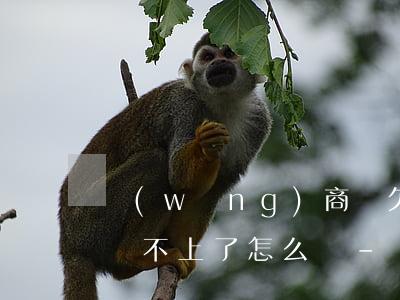 網(wǎng)商貸欠100萬(wàn)還不上了怎么辦-網(wǎng)商貸100萬(wàn)還不起