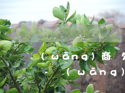 網(wǎng)商貸欠10萬還不上會坐牢嗎-網(wǎng)商貸欠10萬還不上會坐牢嗎知乎