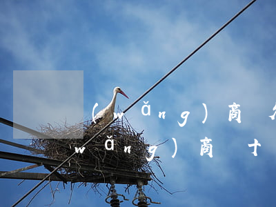 網(wǎng)商貸欠11萬還不起了(網(wǎng)商貸十萬一直不還會怎樣)