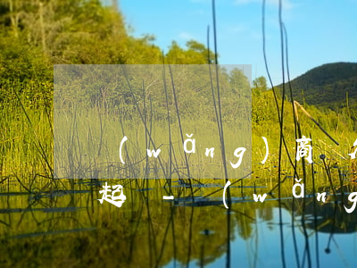網(wǎng)商貸欠16w逾期會不會被起訴-網(wǎng)商貸欠16w逾期會不會被起訴呢