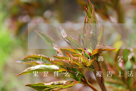 網(wǎng)商貸欠1萬3逾期一年的后果是什么？會被告上法庭嗎？